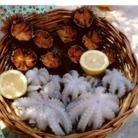 Scioleion Bed & Breakfast